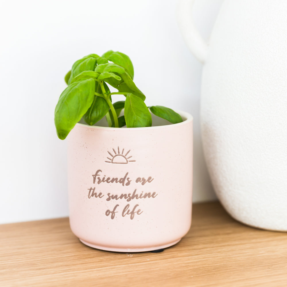 Sunshine Positive Pot